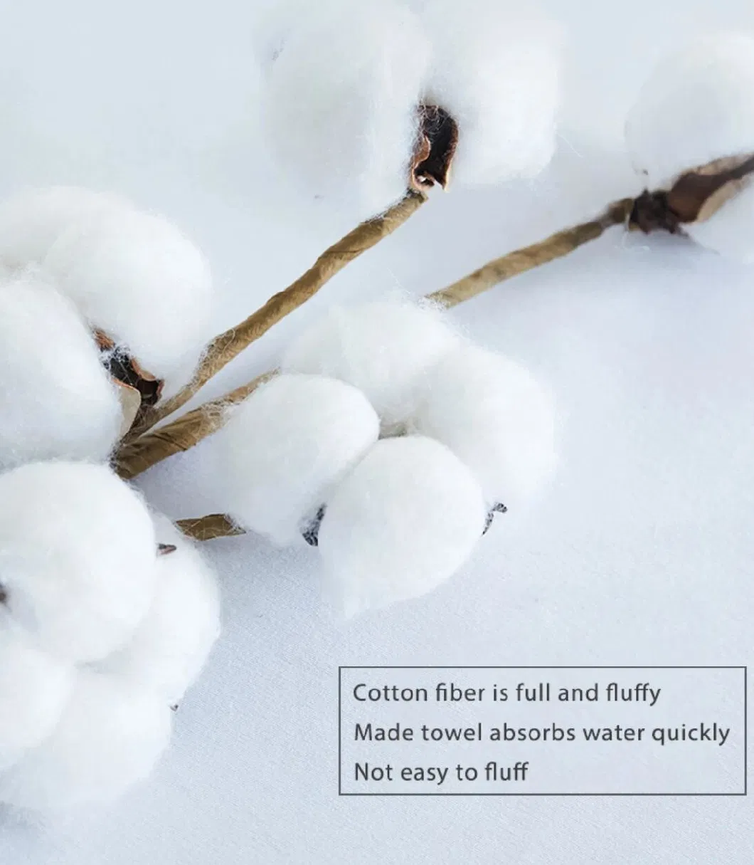 Shenone Wholesale High Quality Custom 100% Cotton Yarn Dyed Jacquard Sponge Wash Face Towel for Hotel