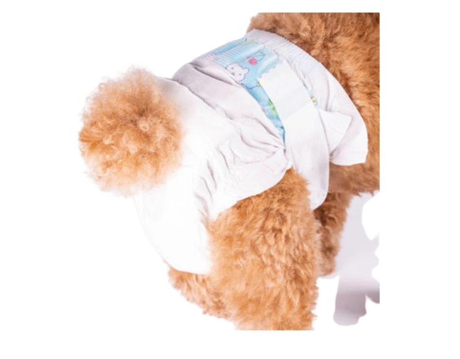 Casoft High Quality Female Dog Pet Diapers Pad Diaper Disposable for Cleaning Products Singapore Korea