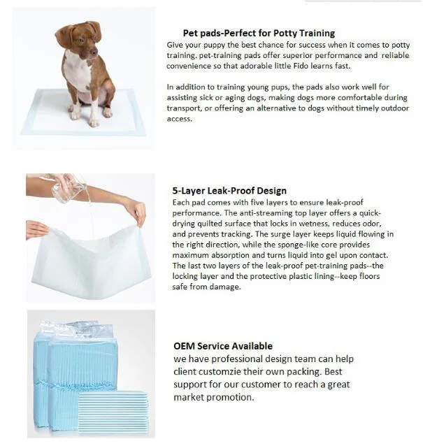 Cheap Absorbent Disposable Dog Pet Diaper Cleaning Products Manufacturer