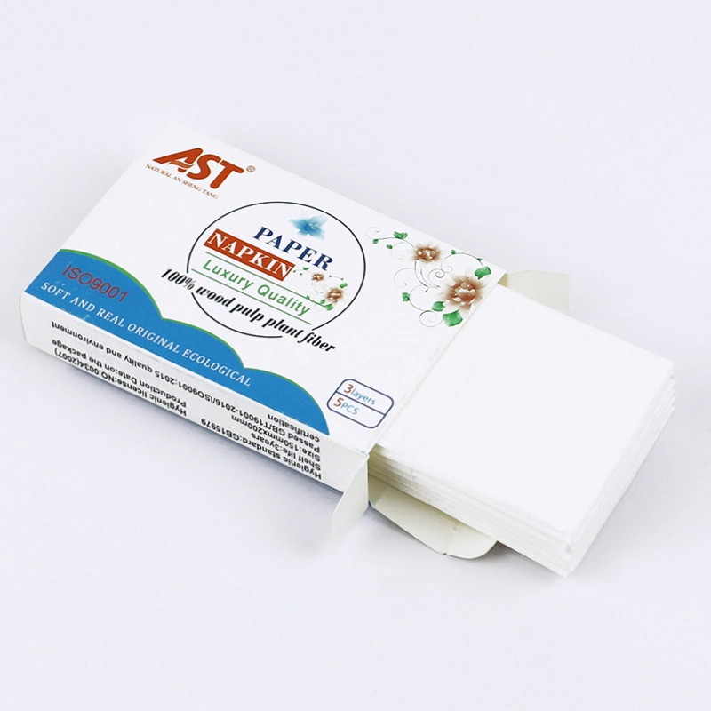 Portable Box Packing 10 PCS Hotel Restaurant Flushable Toilet Paper Public Paper Roll