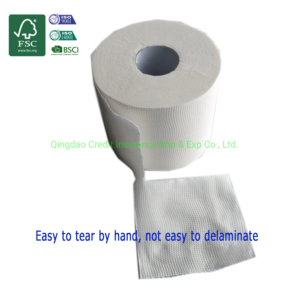 Hot Sale China Bamboo Manufacture Best Biodegradable Toilet Paper Coreless Roll