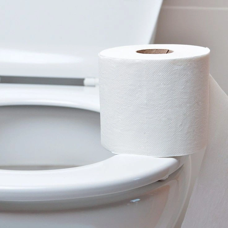 Top Rank 2 Lyers Toilet Virgin Woodpulp Flushable Toilet Wipes Toilet Paper Rolls