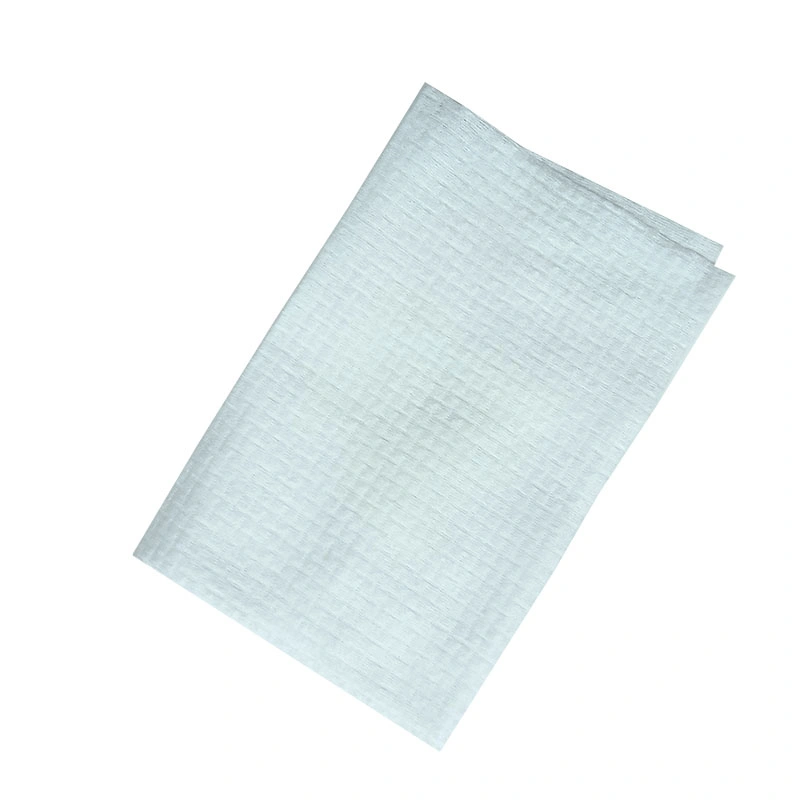 Factoryprice Disposable Towels Free Sample Supply SPA Salon Disposable Face Towels 70GSM