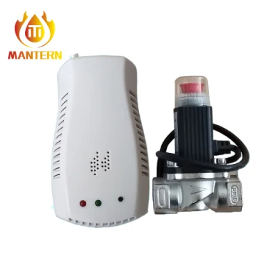 CE High Quality Fixed Home Kitchen Single Gas Detector Alarm