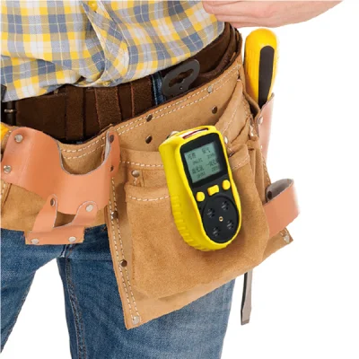 Oil &amp; Gas Industry Hydrogen Chloride Detector 3.7V 0-20ppm Leakage Monitor