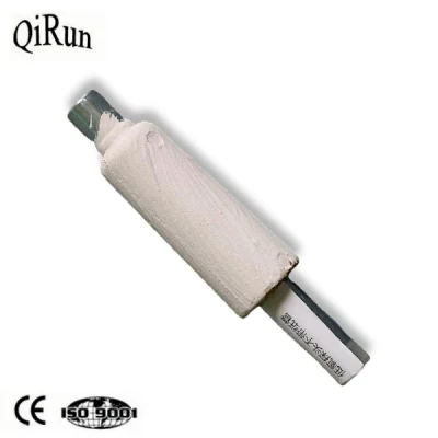 High Temperature and Oxygen Probe