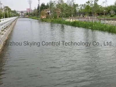 Digital Dissolved Oxygen Sensor Online Probe Fluorescence Dissolved Oxygen Sensor