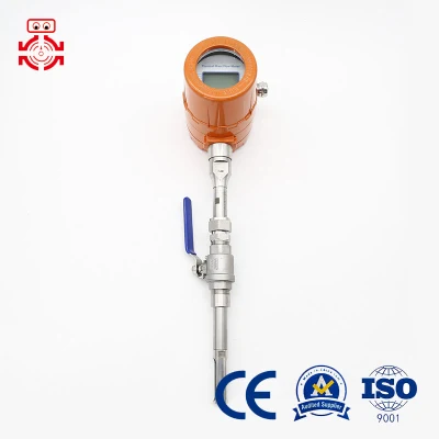Thermal Gas Mass Flowmeter Micro Flow Compressed Air Oxygen Nitrogen Argon Methane Flowmeter Meter DN50plug in Type