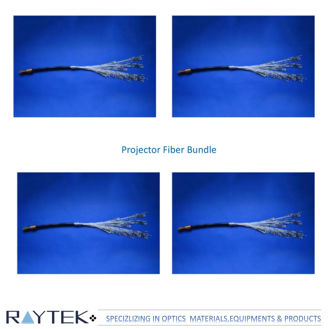 Biochemical Experiment Optical Fiber/Multicomponent Glass Optical Fiber Bundle/Temperature Measuring Optical Fiber