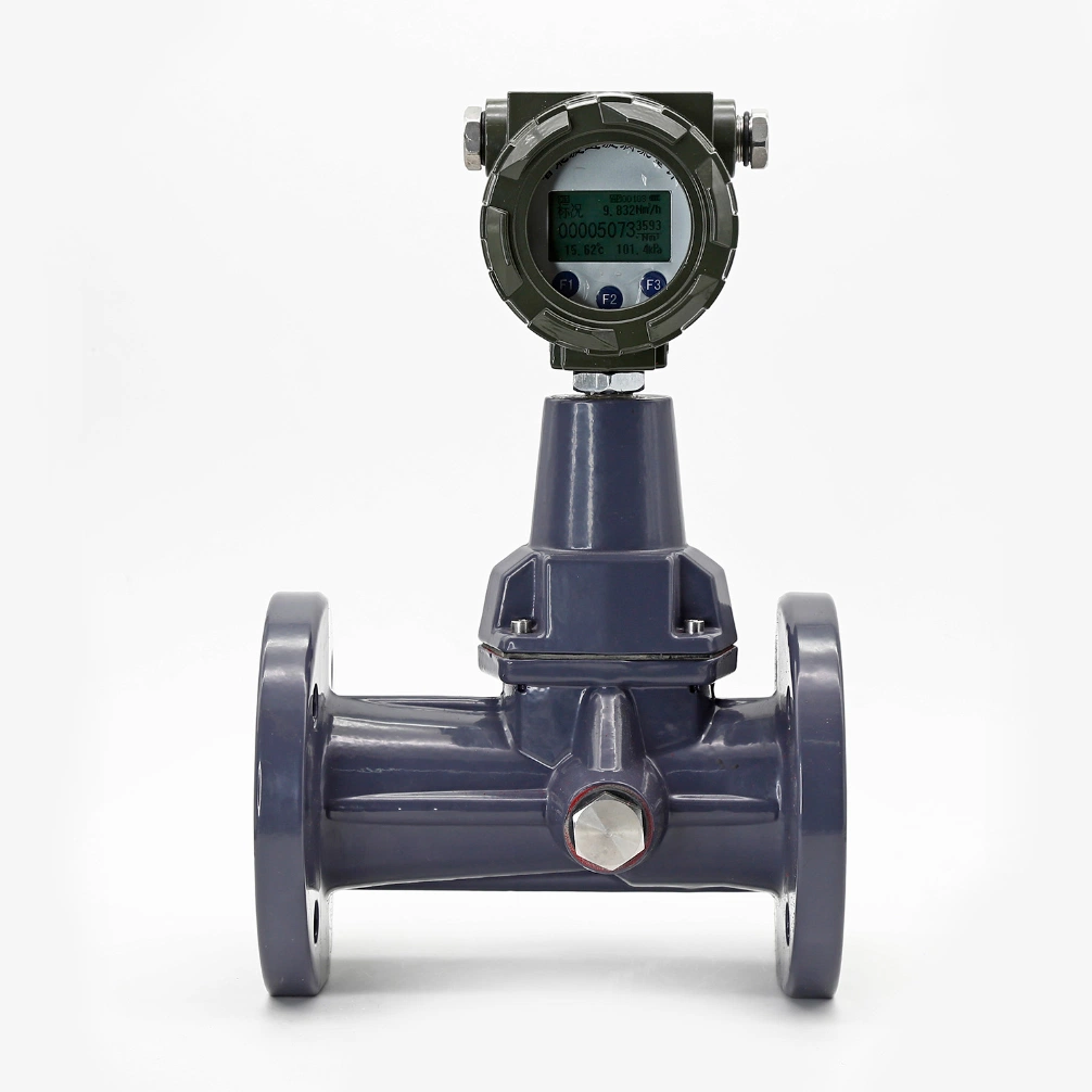 Ss 304 Gas Flowmeter Oxygen Air Flow Meter