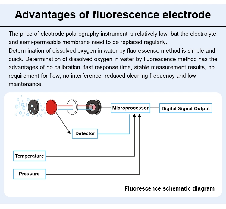 IP68 Do Electrode Dissolved Oxygen Sensor for Water Analysis