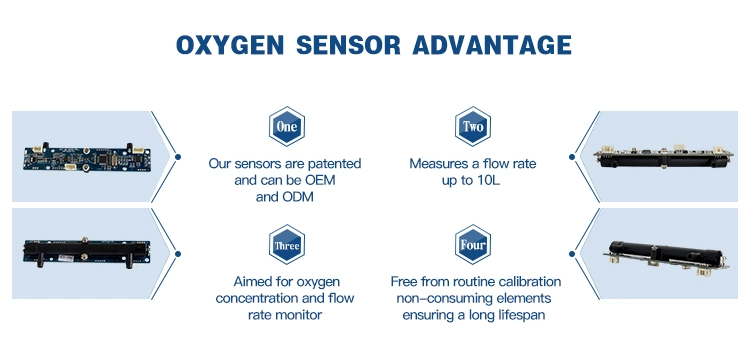 High Sensitive Oxygen Sensor with Long Life