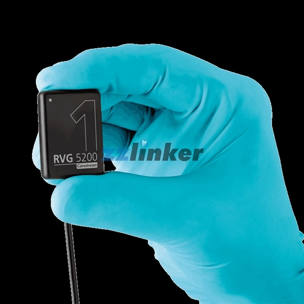 Lk-C65A Handy Dental Equipment Xray Sensor Digital X-ray Sensor Hdr 500A with CE