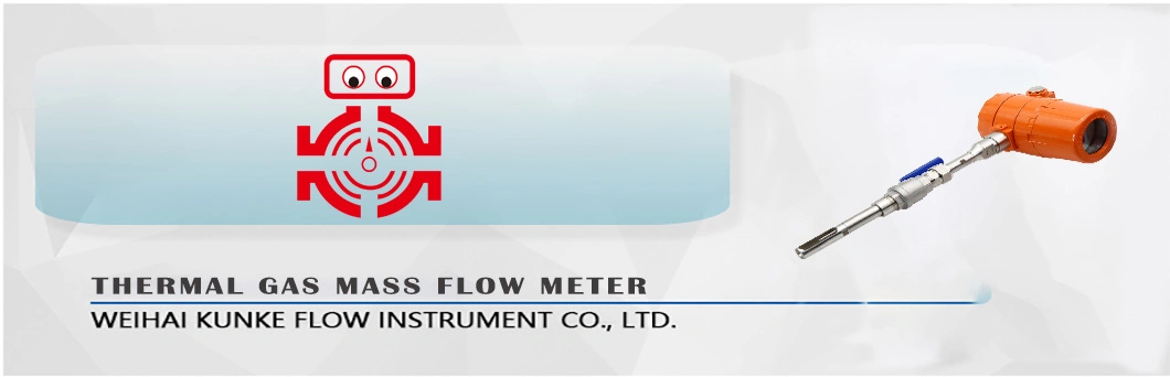 Inexpensive Large Diameter DN100 Insert Thermal Gas Mass Flowmeter with High Accuracy for Oxygen Measurement