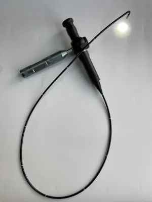 Microscopio óptico de mano con tubo flexible, lente de cámara 4mm, función de enfoque, sonda 1m