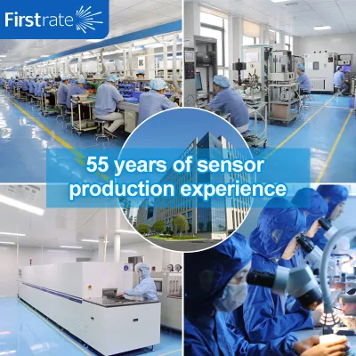 FST100-G102A firstRate Factory Direct Industrial Optical O2 sensor concentración de oxígeno Medidor de oxígeno sensor de gas