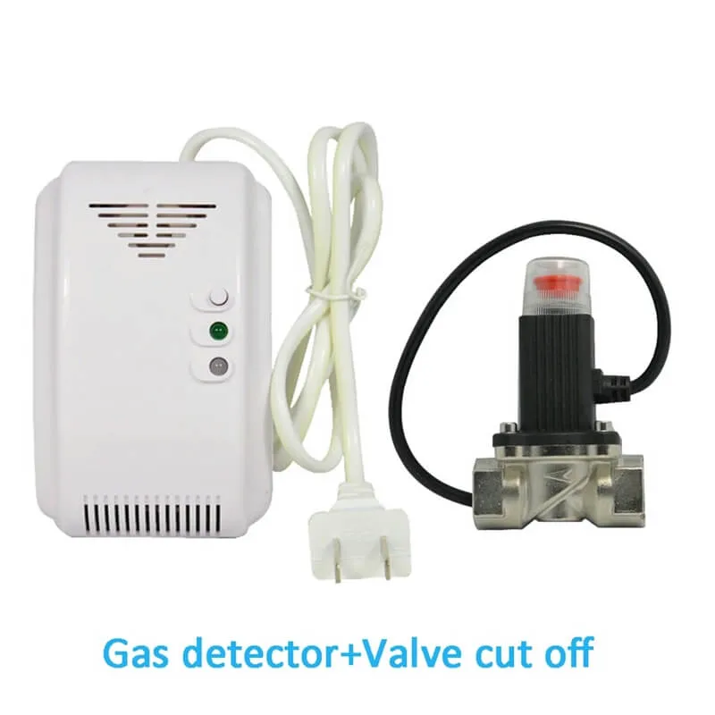 Gas Leakage Detector LPG Combustible Gas Leakage Detector Voice Alarm