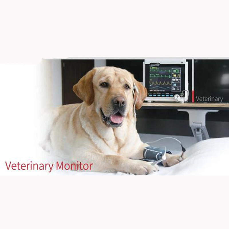 Portable 8-Inch Big Screen Multiparameter Veterinary Monitor