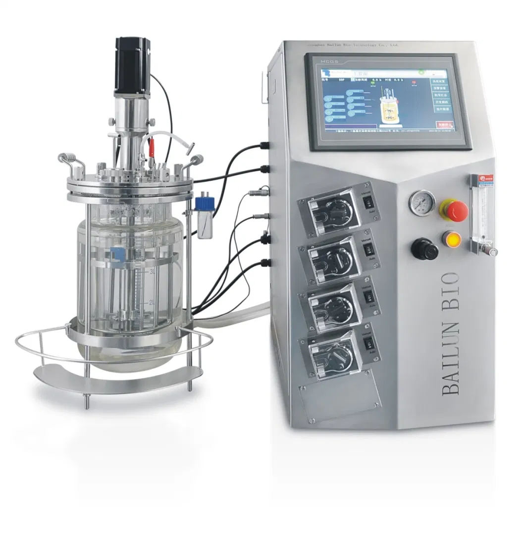 Mechanically Glass Anaerobic Agitated Fermenter Dissolved Oxygen Measurement in Bioreactor