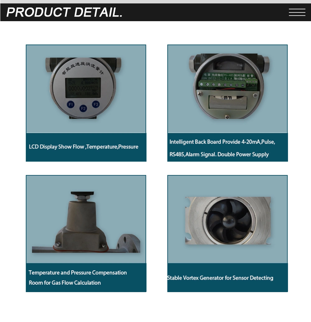 Big Discount Digital Type Oxygen Flowmeter Oxygen Gas Vortex Precession Flow Meter