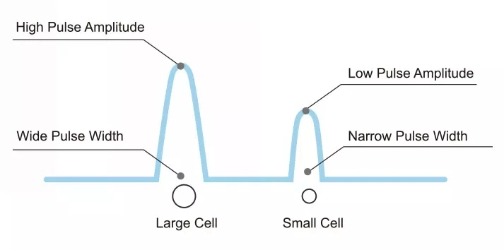 Auto Hematology Analyzer 3-Part Differential Touch Screen Double-Channel Blood Test Analysis