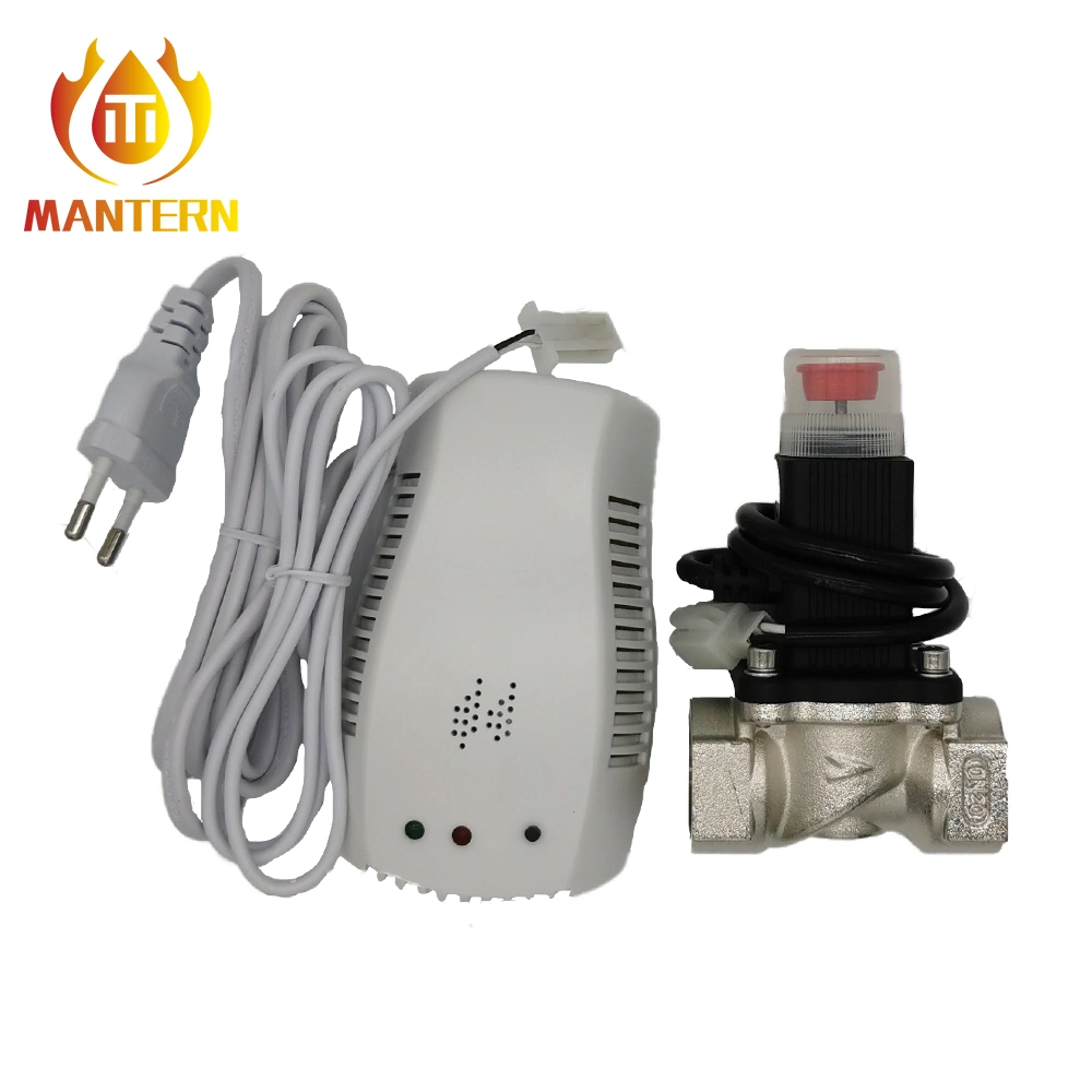 220V 110V 24V High Sensitivity Kitchen Methane/LPG Gas Detector CH4 Gas Alarm Sensor