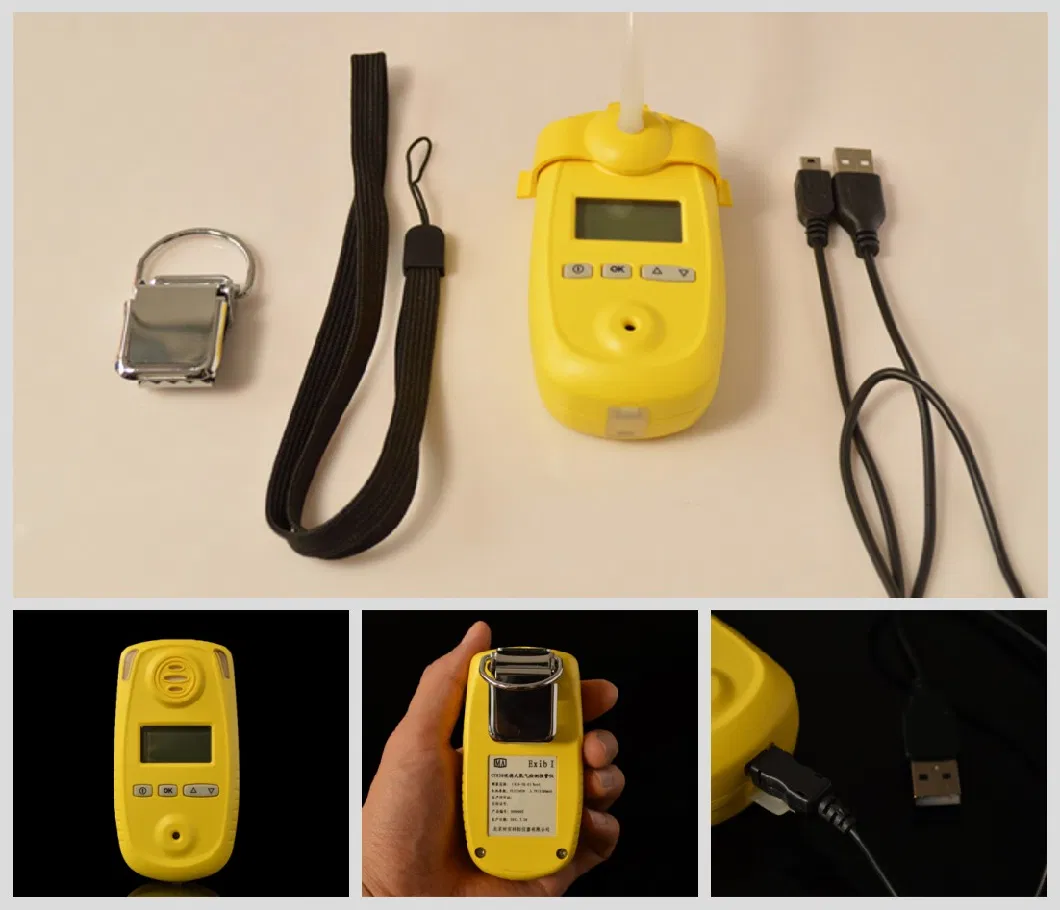 Handheld O2 Gas Meter, Battery Powered Single Gas Analyzer with Long Probe O2 Sensor