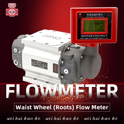 Flussometro gas aria compressa ossigeno azoto vari gas Electronic Digital Visualizza flussometro Roots