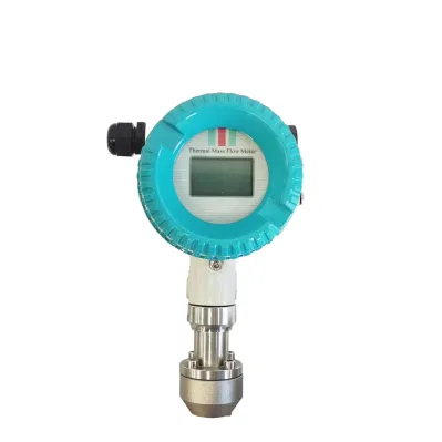 Massa termica digitale ossigeno gas naturale aria compressa ad alta temperatura Flussometro