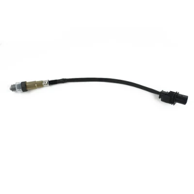 Sensore lambda ad alte prestazioni 612600190242 0281004452 per Natgas