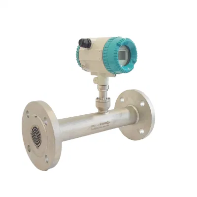 Misuratore di flusso di massa per ossigeno termico CO2 industriale per flusso Misurazione dei gas