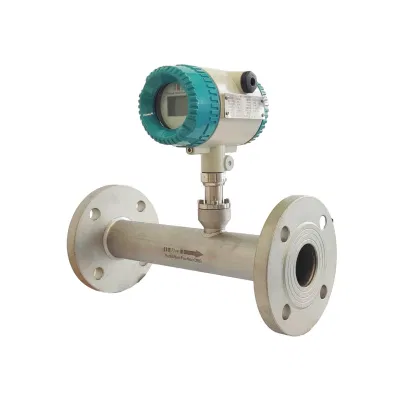 Fabbrica industriale gas naturale aria compressa ossigeno digitale massa termica Flussometro