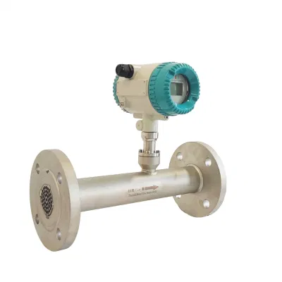 Fabbrica industriale gas naturale aria compressa ossigeno digitale massa termica Flussometro