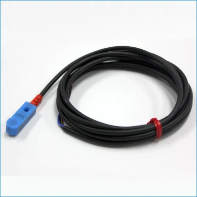 Sensore di prossimità induttivo per rilevamento di metalli DC interruttore di prossimità quadrato da 12 V Gamma 3Wire 2 mm