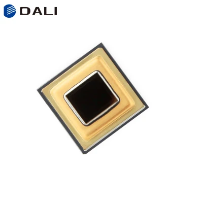 Sensore per termocamera portatile digitale portatile personalizzato DALI
