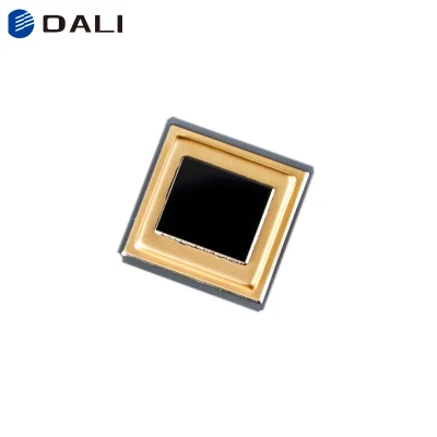 Sensore per termocamera portatile digitale portatile personalizzato DALI
