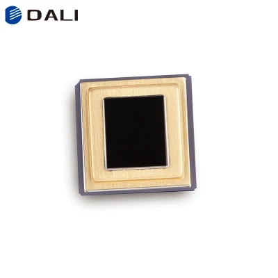 Sensore per termocamera portatile digitale portatile personalizzato DALI