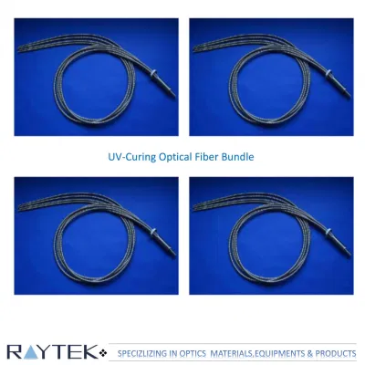 Esperimento biochimico fibra ottica/fibra ottica multicomponente in vetro fascio di fibre ottiche/ottica di misurazione della temperatura Fibra