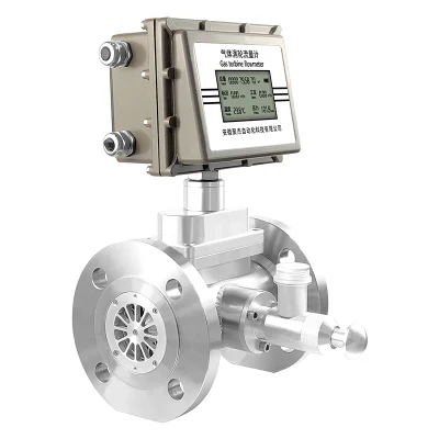 CO2 ossigeno misura RS485 uscita turbina a gas digitale in acciaio inox Flussometro