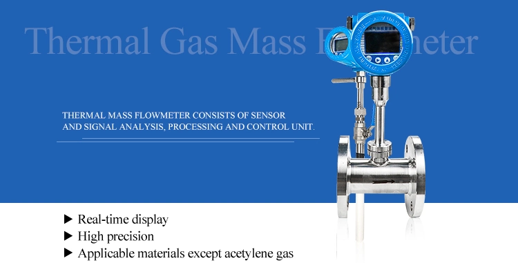 Gas Flow Measurement Dn80 Thermal Mass Flow Meter for Hydrogen