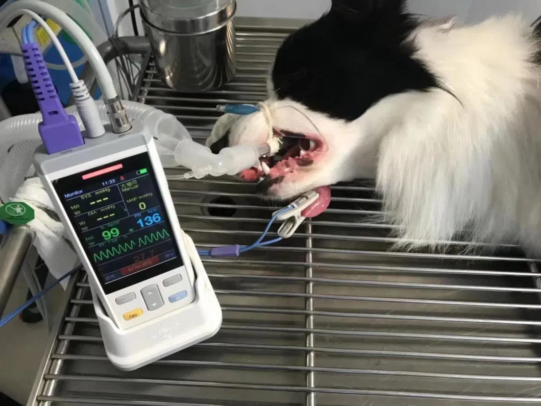 PC100 Portable Veterinary Handheld Pulse Oximeter Handheld Vital Signs Patient Monitor