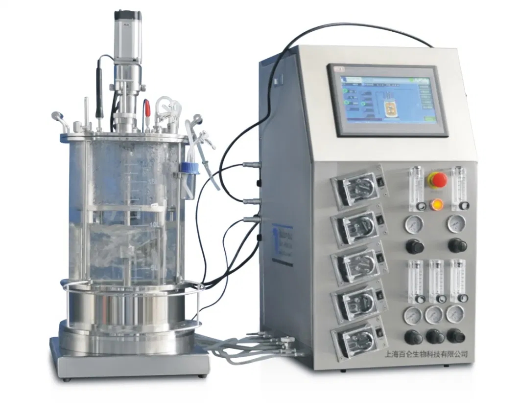 Mechanically Glass Anaerobic Agitated Fermenter Dissolved Oxygen Measurement in Bioreactor