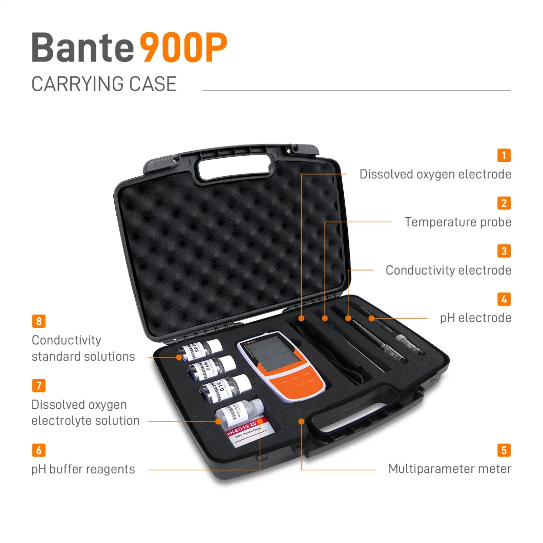 Bante900p Multi Parameter with Online Dissolved Oxygen Meter