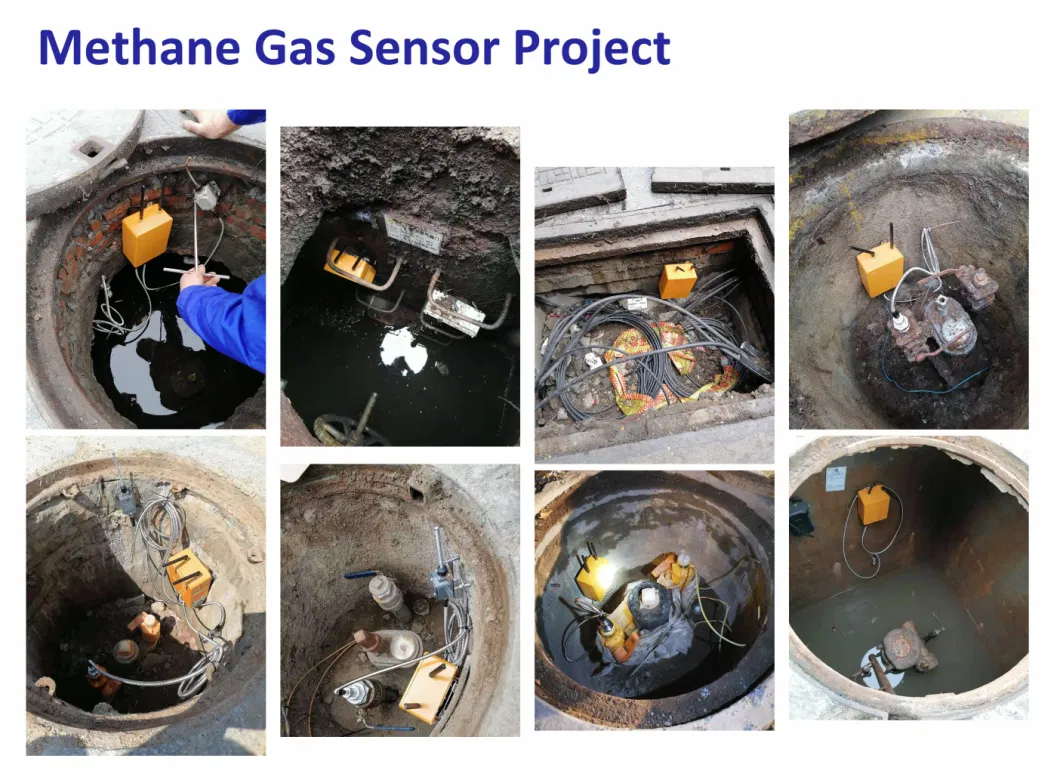 Laser-Based Methane Measurement Real-Time Pipeline Methane Gas Detector Monitor CE