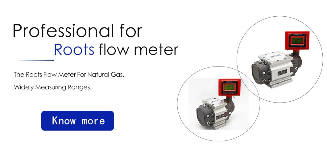 Gas Flowmeter Compressed Air Oxygen Nitrogen Various Gases Electronic Digital Display Roots Flow Meter
