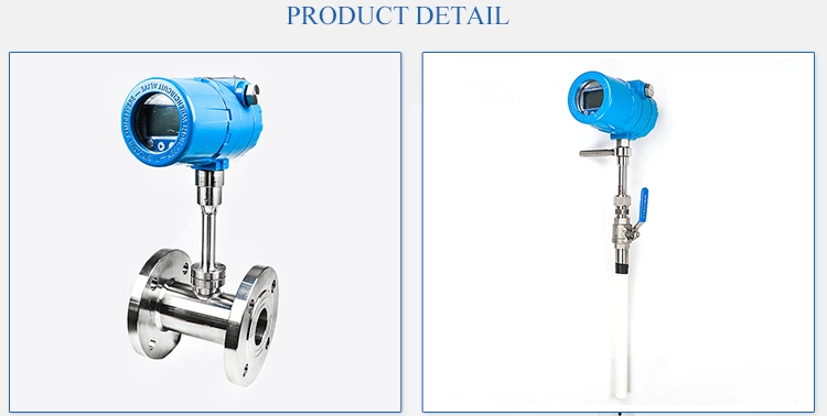 Gas Measurement Flow Monitor Plug in Thermal Mass Flow Meter for LPG