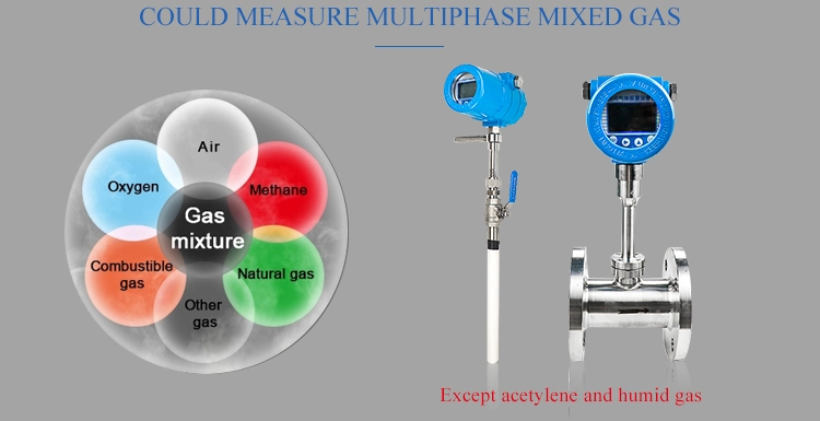 Gas Measurement Flow Monitor Plug in Thermal Mass Flow Meter for LPG