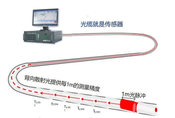 China Intelligent Distributed Optic Acoustic Sensor for Oil Gas Borehole Seismic Monitoring