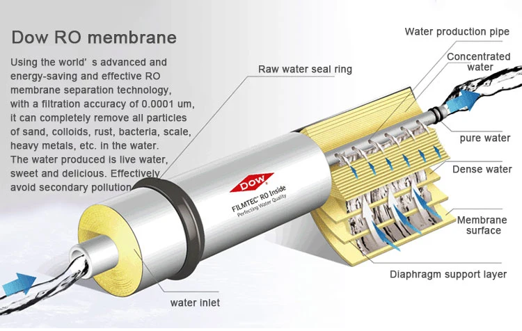 Cost-Effective Water Purification System with PLC Control and Long Lifetime