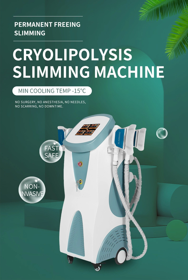 Vertical Cool Tech Cryolipolysie 4 Cryo Handles Cryolipolysis Body Shaping Slimming Machine
